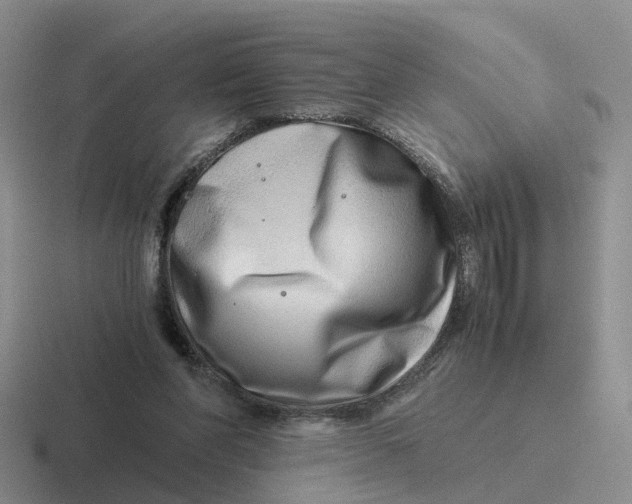 X0000116640206201001041037