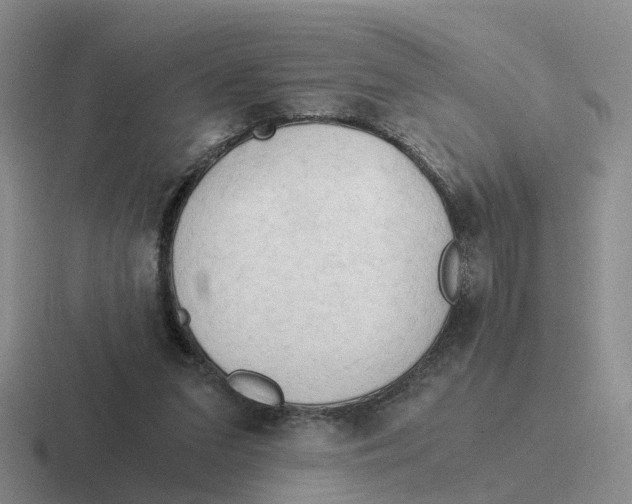 X0000116640207201001041037