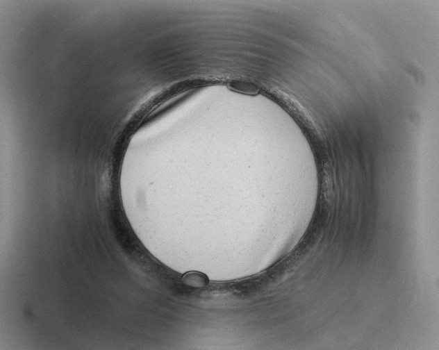 X0000116640208201001041037