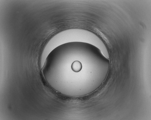 X0000116640209201001041037