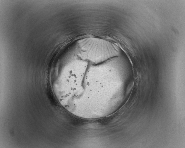 X0000116640210201001041037