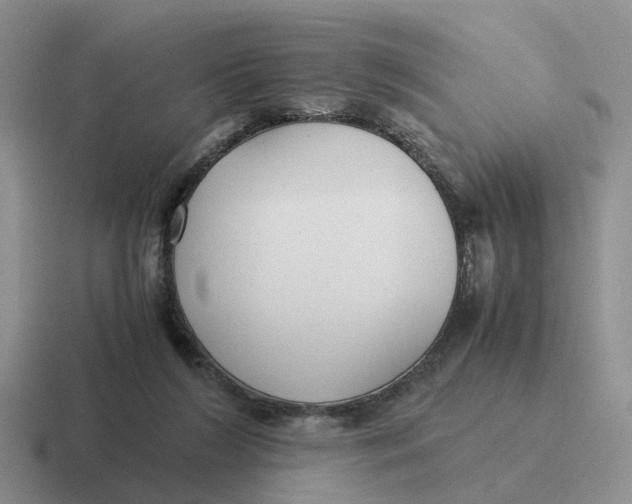 X0000116640212201001041037