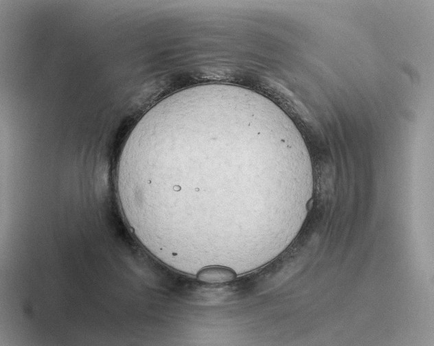 X0000116640213201001041037