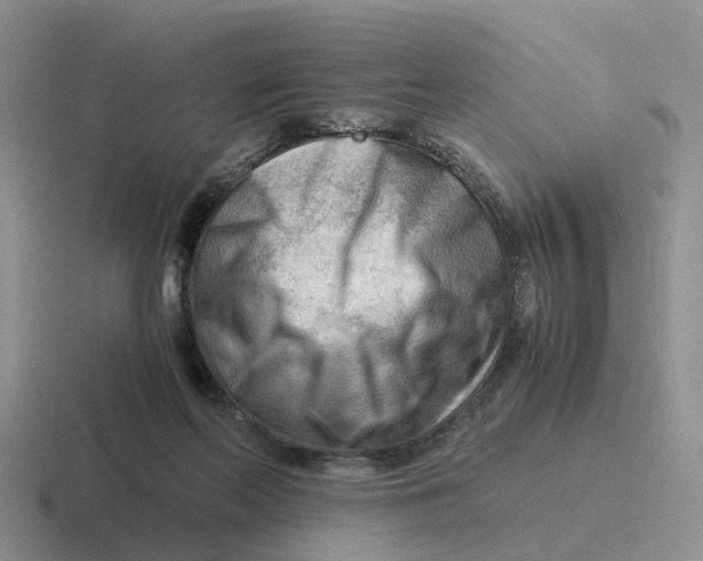 X0000116640214201001041037