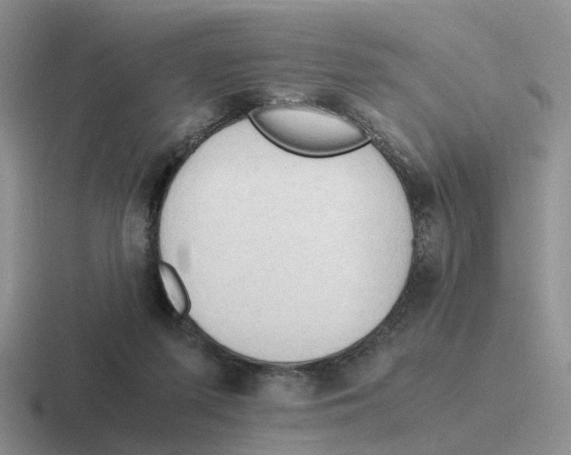 X0000116640215201001041037