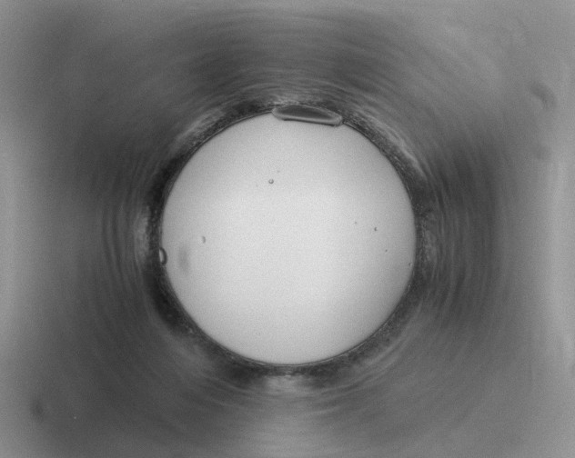 X0000116640216201001041037