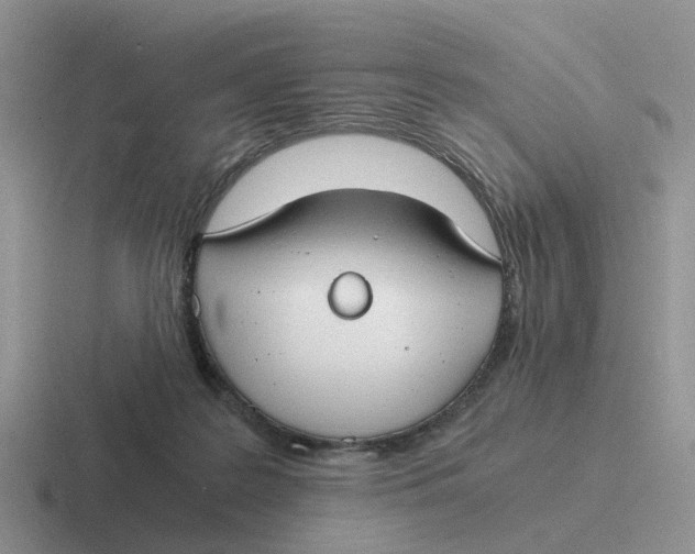 X0000116640219201001041037