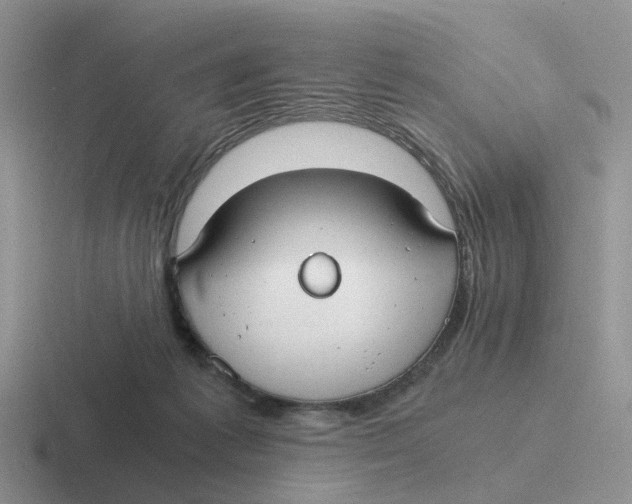 X0000116640221201001041037