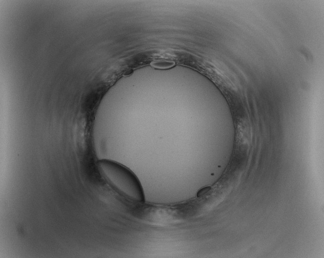 X0000116640223201001041037