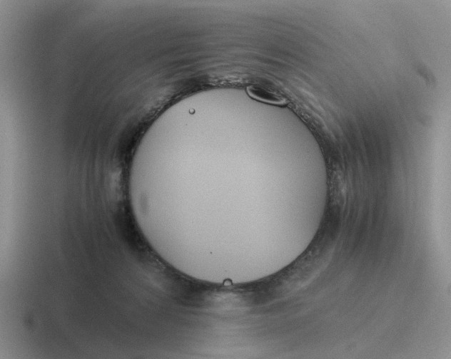 X0000116640224201001041037