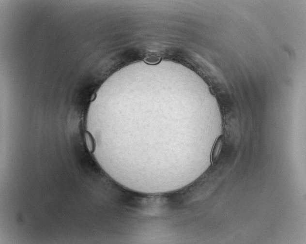 X0000116640225201001041037