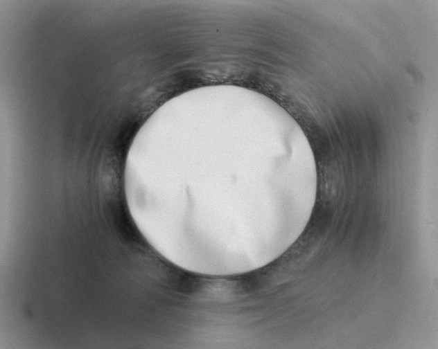 X0000116640226201001041037