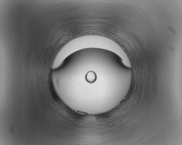 X0000116640227201001041037