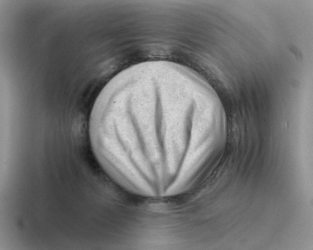 X0000116640228201001041037