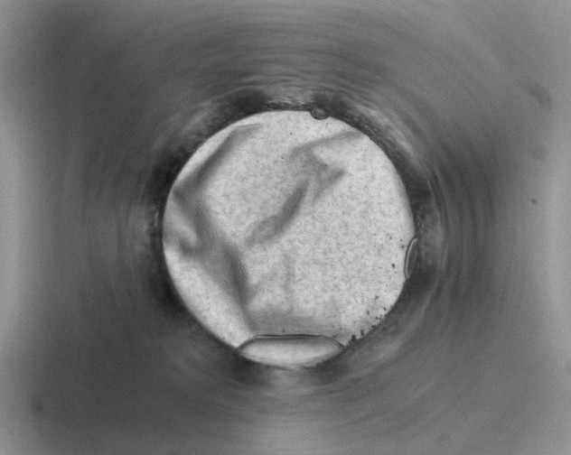 X0000116640229201001041037