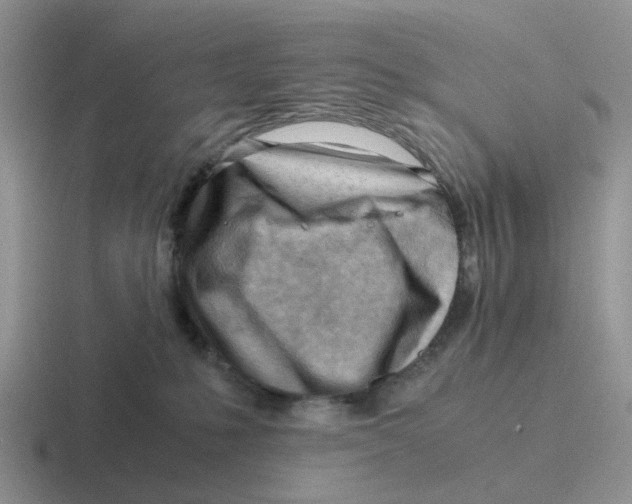 X0000116640231201001041037