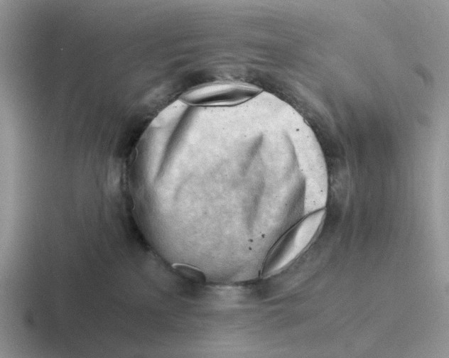 X0000116640233201001041037