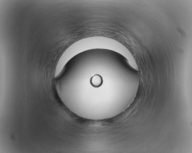 X0000116640235201001041037