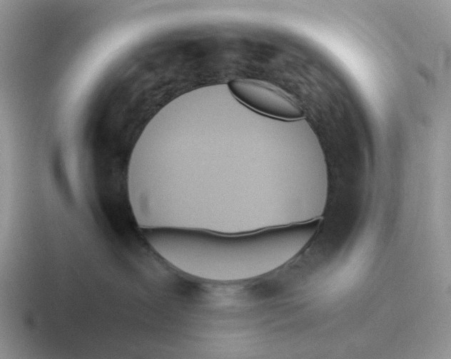 X0000116640239201001041037