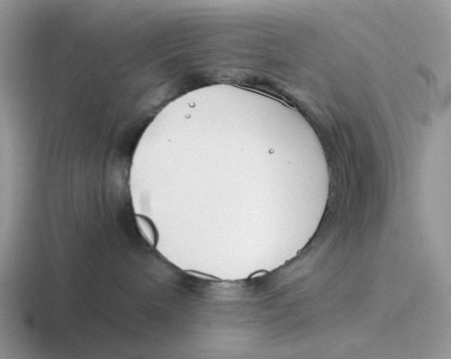 X0000116640240201001041037