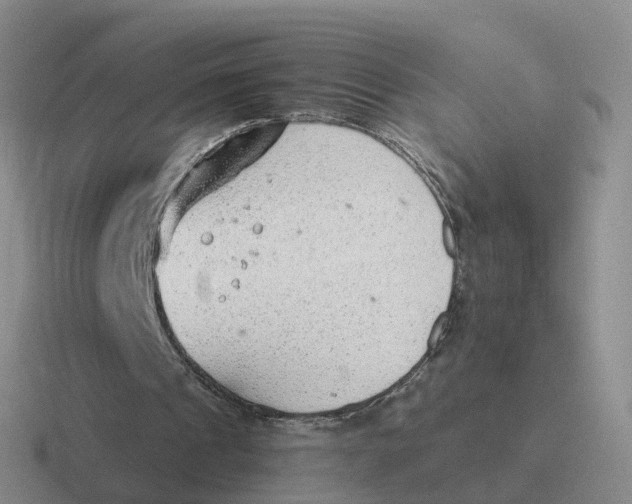 X0000116640241201001041036