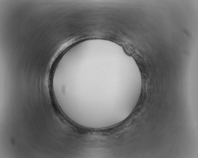 X0000116640244201001041036