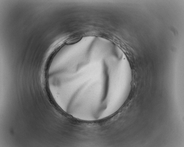 X0000116640245201001041036