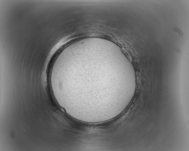 X0000116640246201001041036