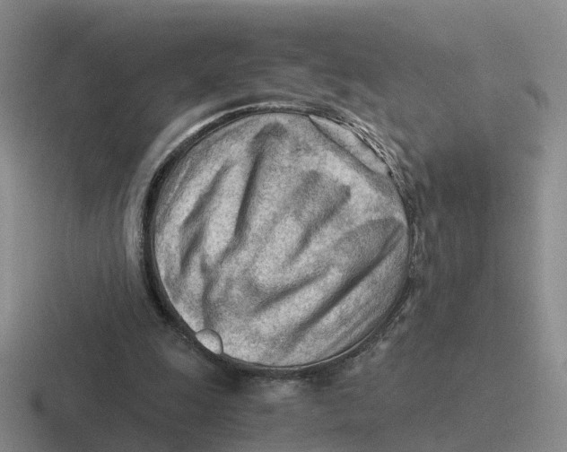 X0000116640247201001041036