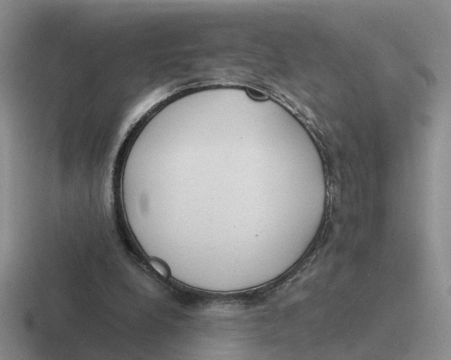 X0000116640248201001041036