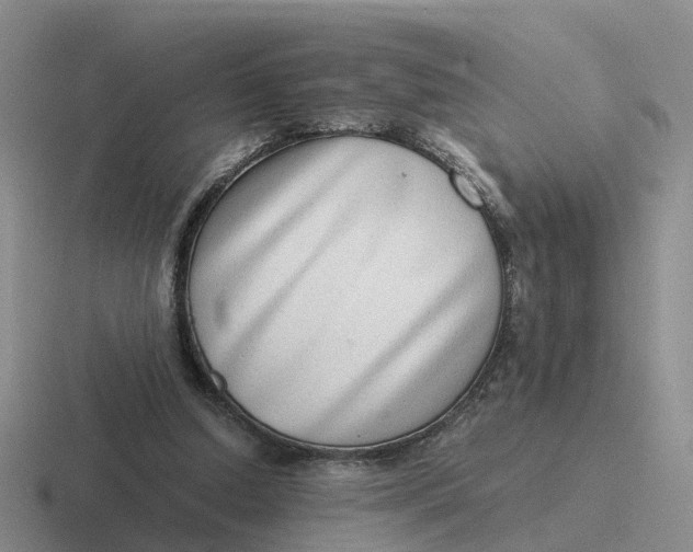 X0000116640250201001041036