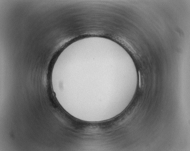 X0000116640252201001041036