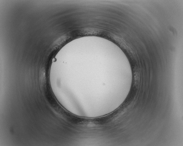 X0000116640254201001041036