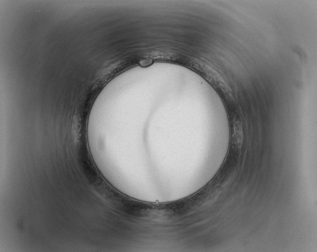 X0000116640255201001041036