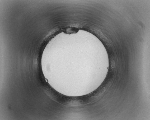 X0000116640256201001041036