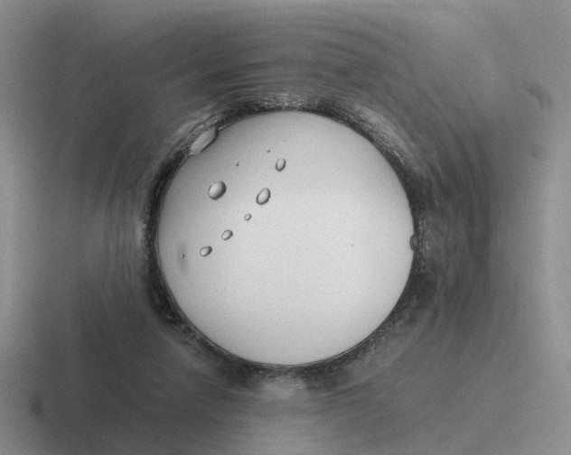 X0000116640258201001041036