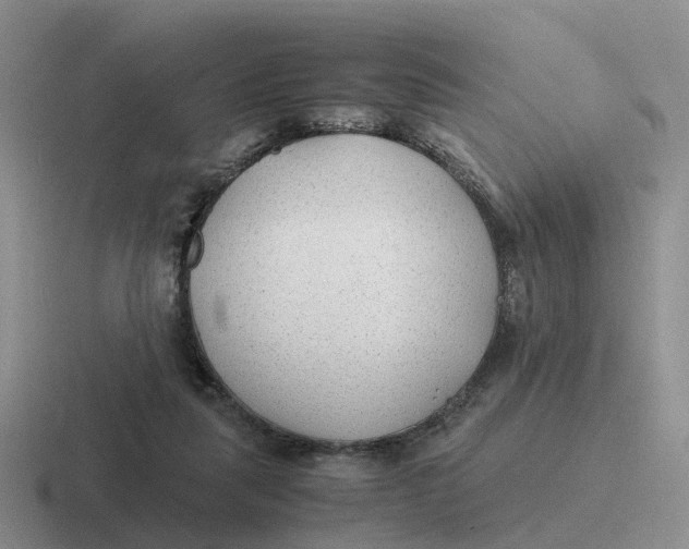 X0000116640259201001041036