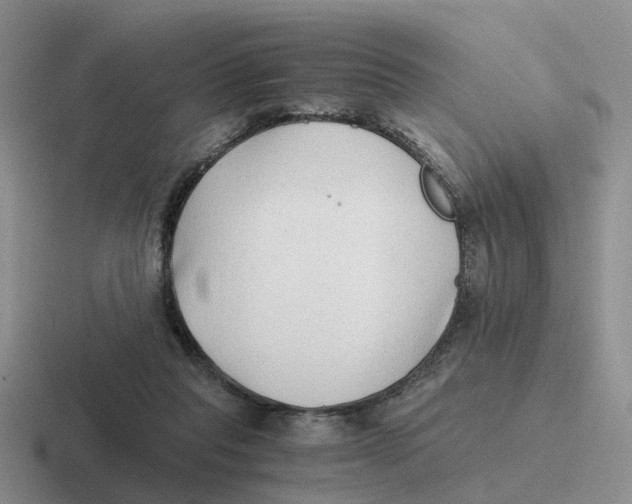 X0000116640261201001041036