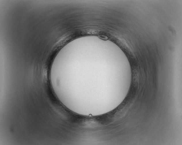 X0000116640262201001041036