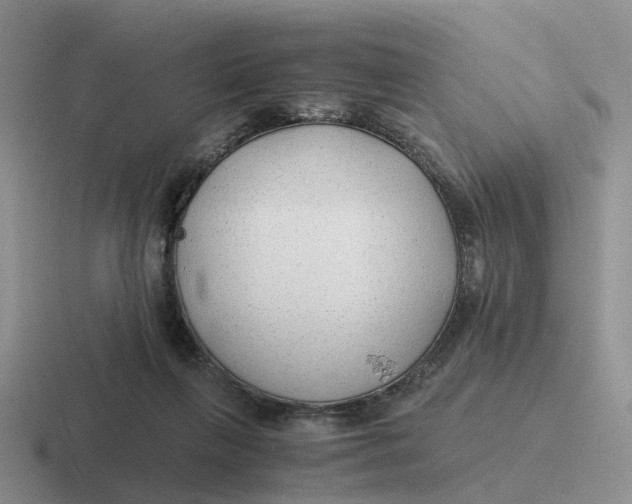 X0000116640263201001041036