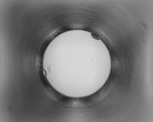 X0000116640264201001041036