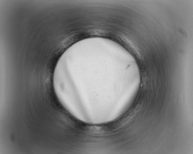 X0000116640265201001041036