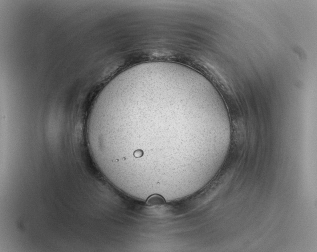 X0000116640269201001041036