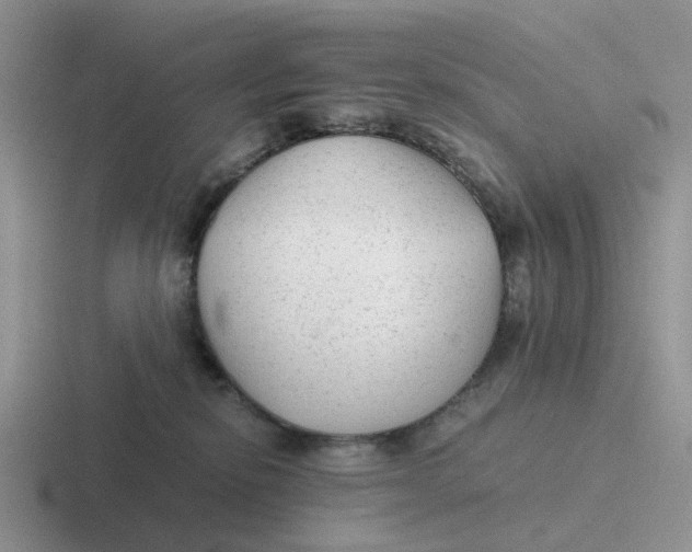 X0000116640278201001041037