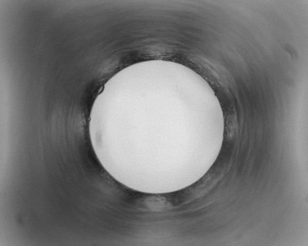 X0000116640279201001041037