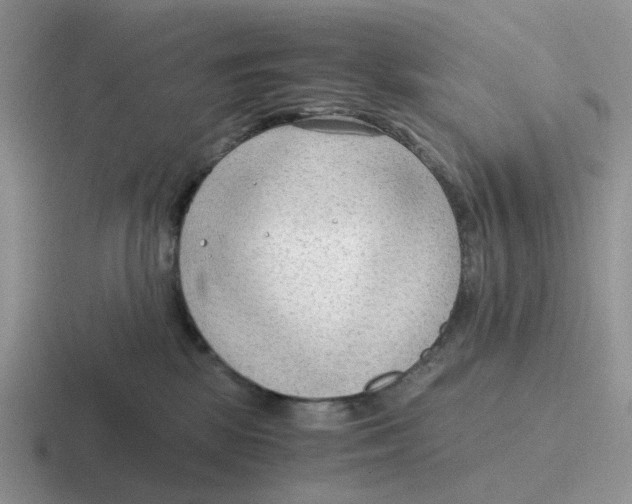 X0000116640281201001041037