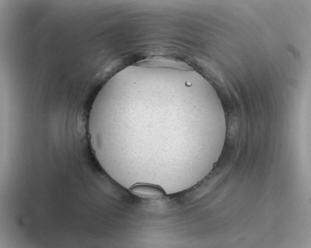 X0000116640282201001041037