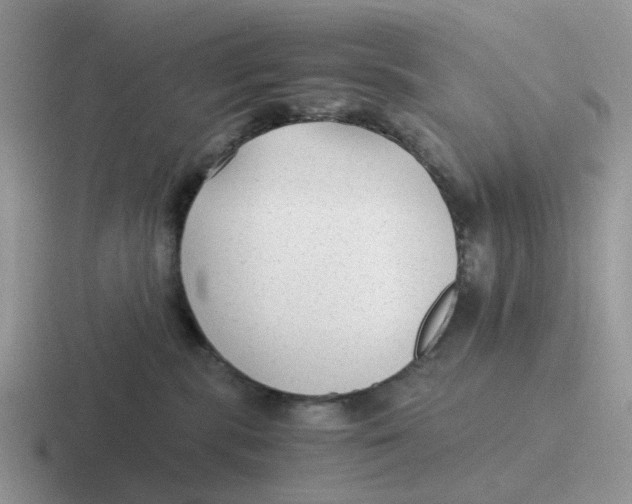 X0000116640283201001041037