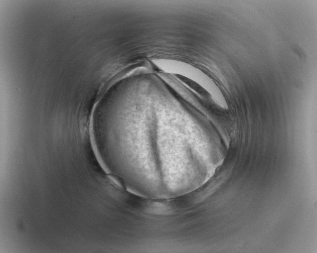 X0000116640285201001041037