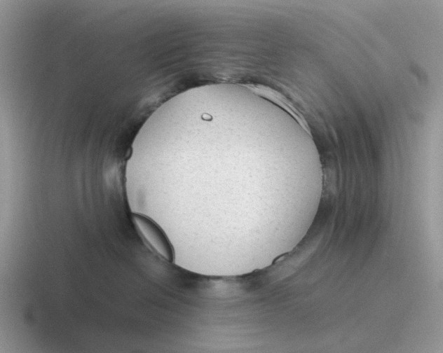 X0000116640286201001041037